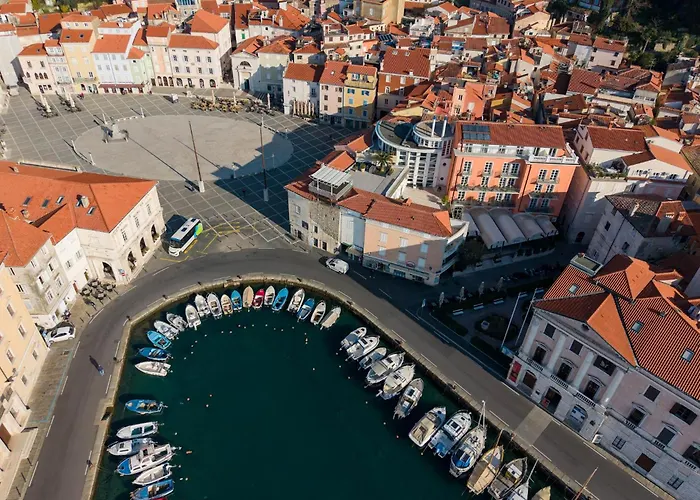 Art Tartini ピラン